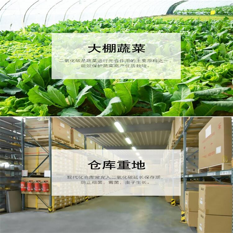 一體式二氧化碳檢測儀 批發價